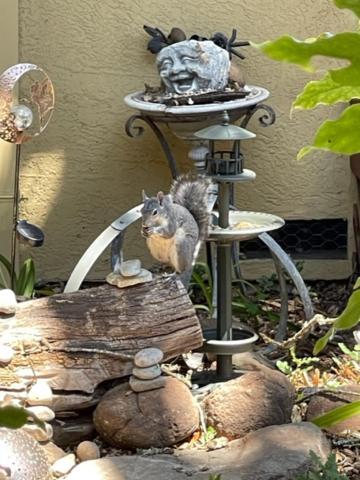 Glen Ellen Inn Secret Cottages Luaran gambar