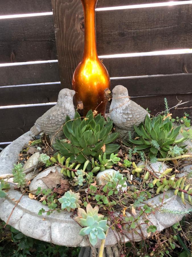 Glen Ellen Inn Secret Cottages Luaran gambar